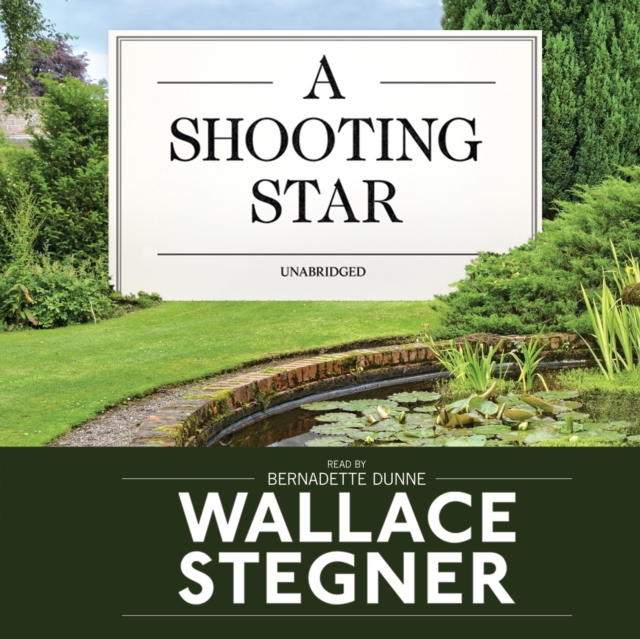A Shooting Star, eAudiobook MP3 eaudioBook