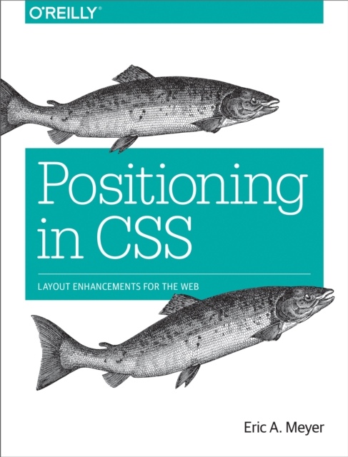 Positioning in CSS : Layout Enhancements for the Web, PDF eBook