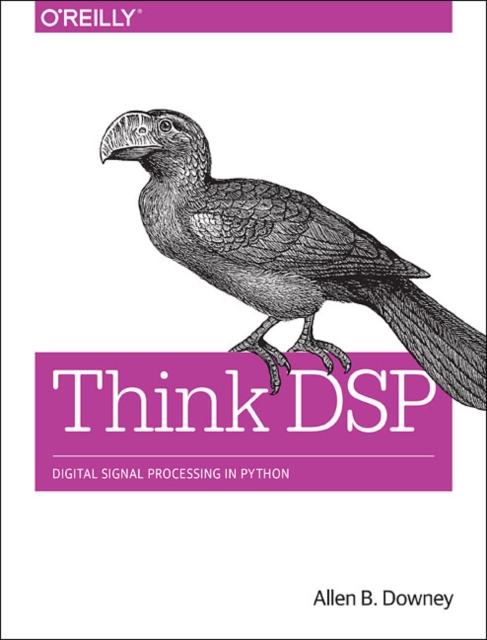 Think DSP, Paperback / softback Book