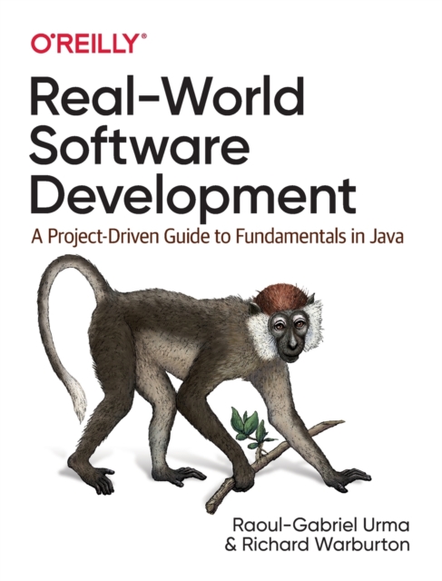 Real-World Software Development, Paperback / softback Book