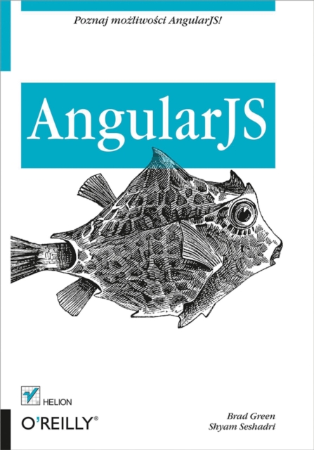 AngularJS, EPUB eBook