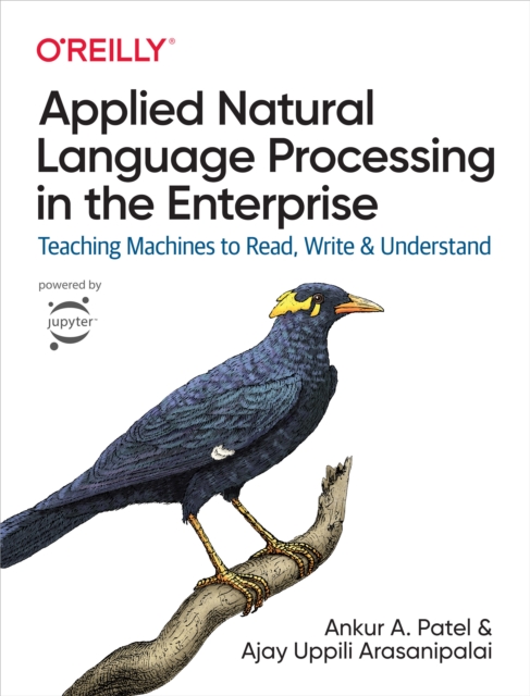 Applied Natural Language Processing in the Enterprise, EPUB eBook