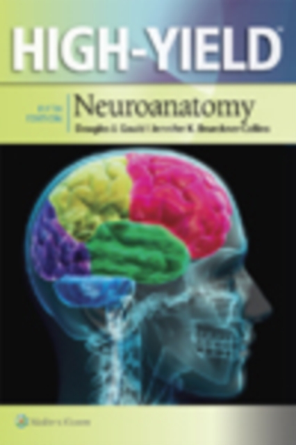 High-Yield(TM) Neuroanatomy, PDF eBook