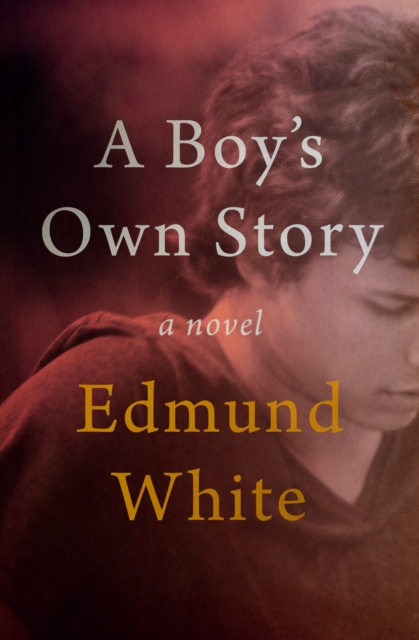 A Boy's Own Story : A Novel, EPUB eBook