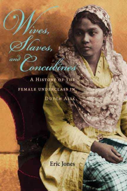 Wives, Slaves, and Concubines : A History of the Female Underclass in Dutch Asia, PDF eBook