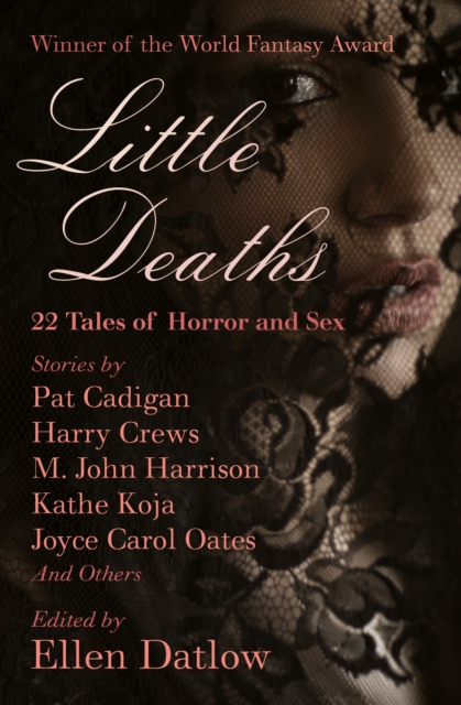 Little Deaths : 22 Tales of Horror and Sex, EPUB eBook