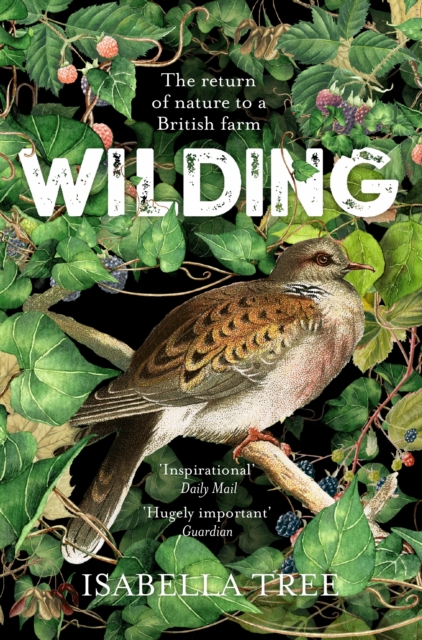 Wilding : The Return of Nature to a British Farm, EPUB eBook