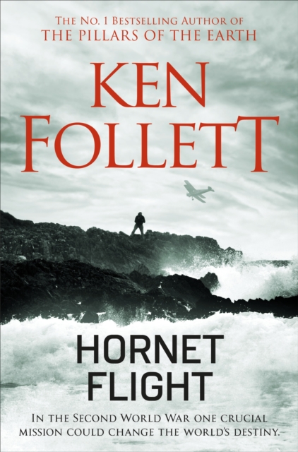 Hornet Flight, Paperback / softback Book