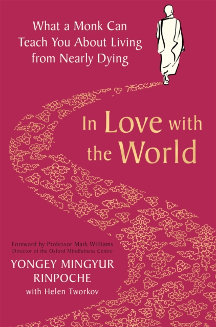 In Love with the World : What a Monk Can Teach You About Living from Nearly Dying, Paperback / softback Book