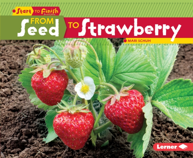 From Seed to Strawberry, EPUB eBook