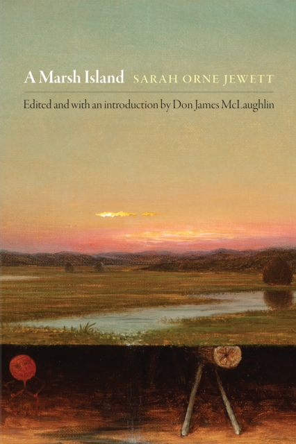 A Marsh Island, EPUB eBook