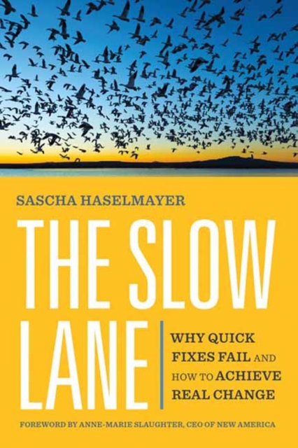 The Slow Lane : Why Quick Fixes Fail and How to Achieve Real Change, Paperback / softback Book