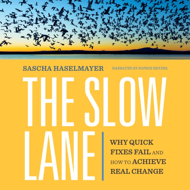 The Slow Lane : Why Quick Fixes Fail and How to Achieve Real Change, EPUB eBook