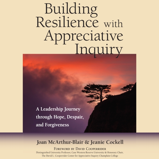 Building Resilience with Appreciative Inquiry : A Leadership Journey through Hope, Despair, and Forgiveness, PDF eBook