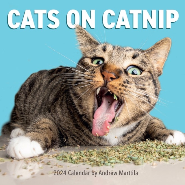 Cats on Catnip Wall Calendar 2024 : A Year of Cats Living the High Life and Feeling Niiiiice, Calendar Book