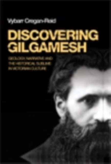 Discovering Gilgamesh : Geology, narrative and the historical sublime in Victorian culture, EPUB eBook