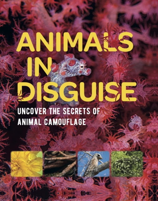 Animals in Disguise, Paperback / softback Book