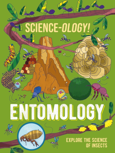 Science-ology!: Entomology, Paperback / softback Book