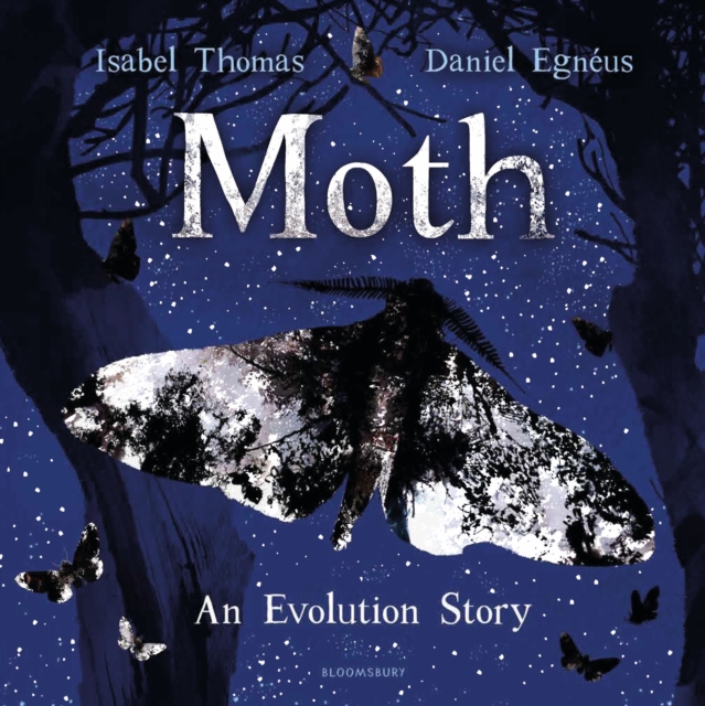Moth : An Evolution Story, Paperback / softback Book
