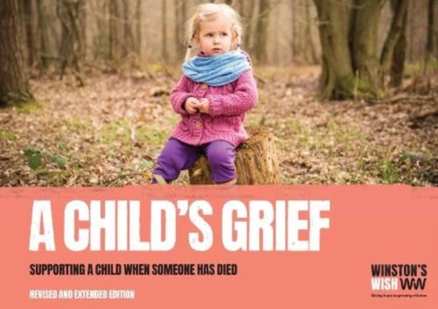 A Child's Grief : Supporting a child when someone has died, Paperback / softback Book