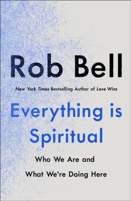 Everything is Spiritual : A Brief Guide to Who We Are and What We're Doing Here, Paperback / softback Book