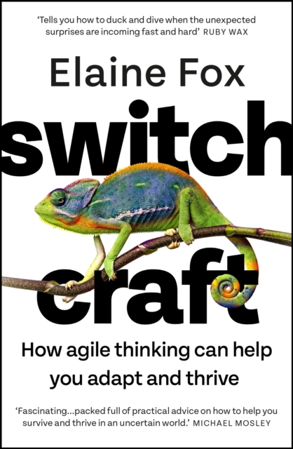 Switchcraft : How Agile Thinking Can Help You Adapt and Thrive, Paperback / softback Book