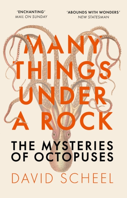 Many Things Under a Rock : The Mysteries of Octopuses, Paperback / softback Book