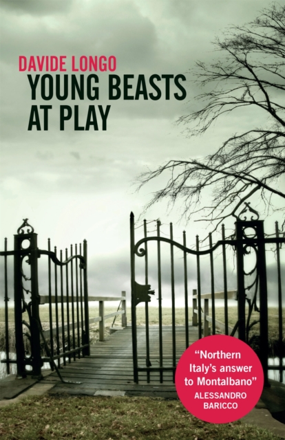 Young Beasts at Play, Paperback / softback Book