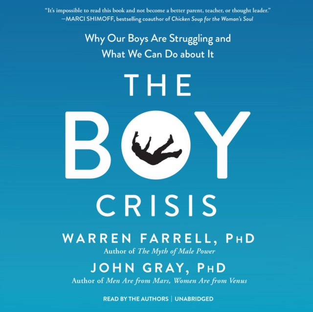 The Boy Crisis, eAudiobook MP3 eaudioBook