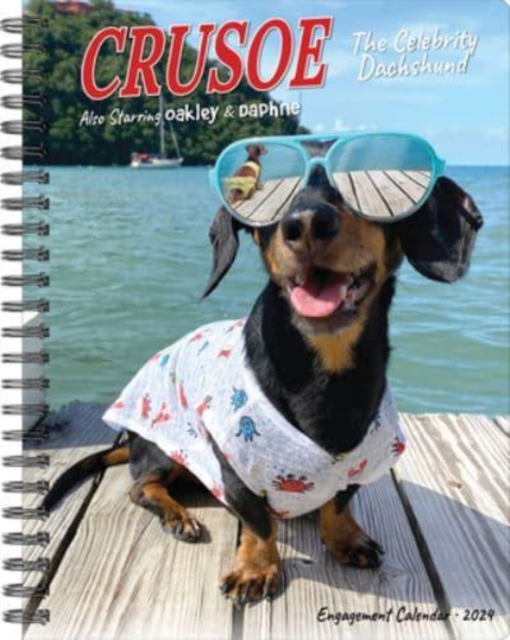 Crusoe the Celebrity Dachshund 2024 6.5 X 8.5 Engagement Calendar, Calendar Book