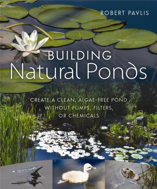 Building Natural Ponds : Create a Clean, Algae-free Pond without Pumps, Filters, or Chemicals, PDF eBook