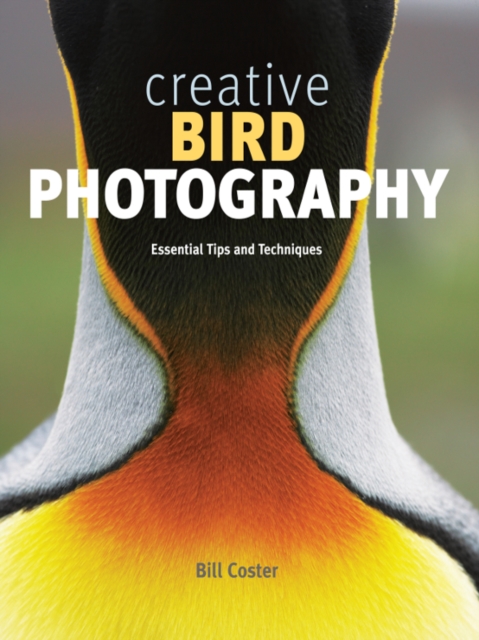 Creative Bird Photography : Essential Tips and Techniques, EPUB eBook