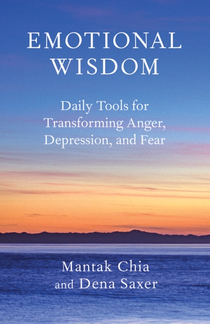Emotional Wisdom : Daily Tools for Transforming Anger, Depression, and Fear, EPUB eBook