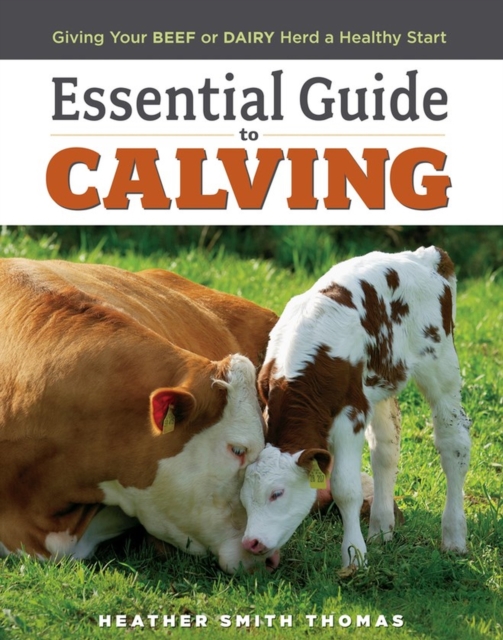 Essential Guide to Calving : Giving Your Beef or Dairy Herd a Healthy Start, Paperback / softback Book