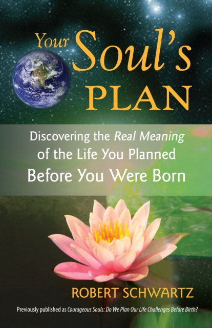 Your Soul's Plan : Discovering the Real Meaning of the Life You Planned Before You Were Born, Paperback / softback Book