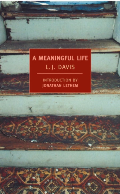Meaningful Life, EPUB eBook