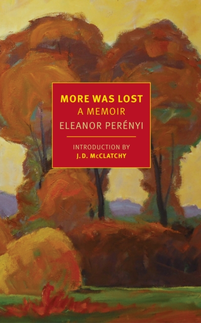 More Was Lost : A Memoir, Paperback / softback Book