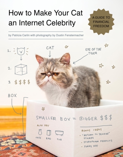 How to Make Your Cat an Internet Celebrity, EPUB eBook
