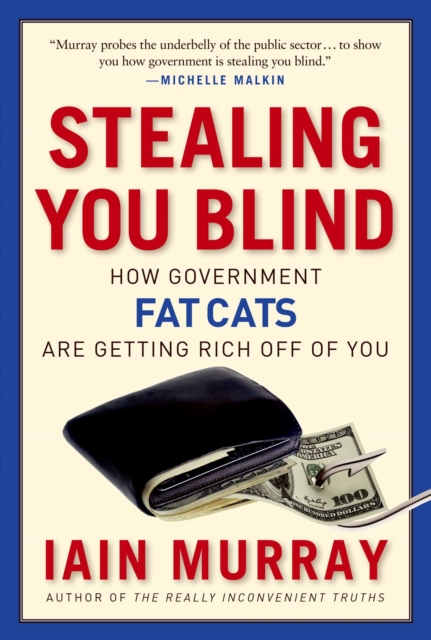 Stealing You Blind : How Government Fat Cats Are Getting Rich Off of You, EPUB eBook