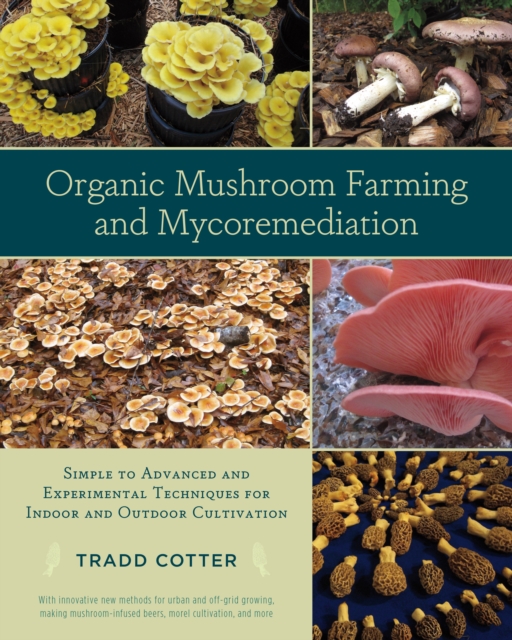 Organic Mushroom Farming and Mycoremediation : Simple to Advanced and Experimental Techniques for Indoor and Outdoor Cultivation, Paperback / softback Book