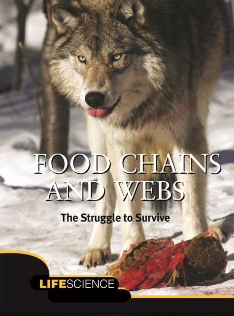 Food Chains and Webs : The Struggle To Survive, PDF eBook