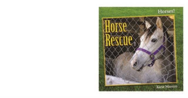 Horse Rescue, PDF eBook