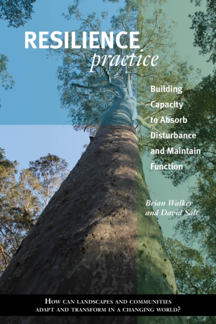 Resilience Practice : Building Capacity to Absorb Disturbance and Maintain Function, EPUB eBook