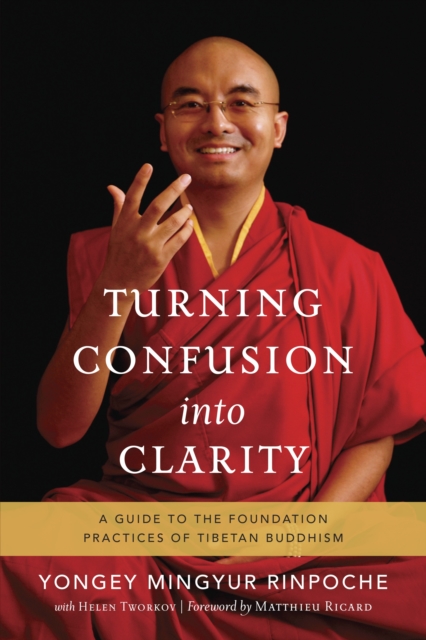 Turning Confusion into Clarity : A Guide to the Foundation Practices of Tibetan Buddhism, Paperback / softback Book