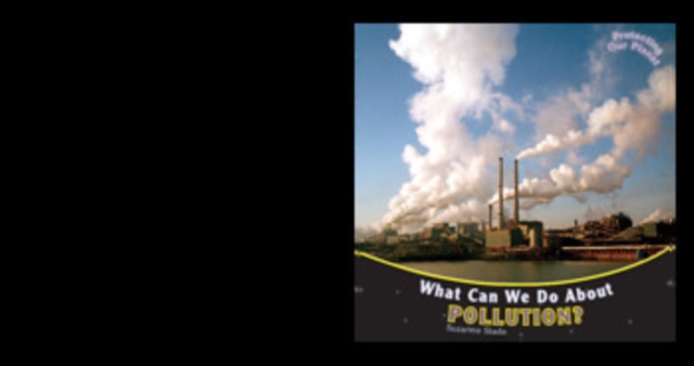 What Can We Do About Pollution?, PDF eBook