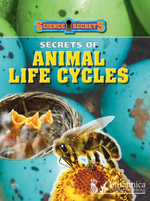 Secrets of Animal Life Cycles, PDF eBook