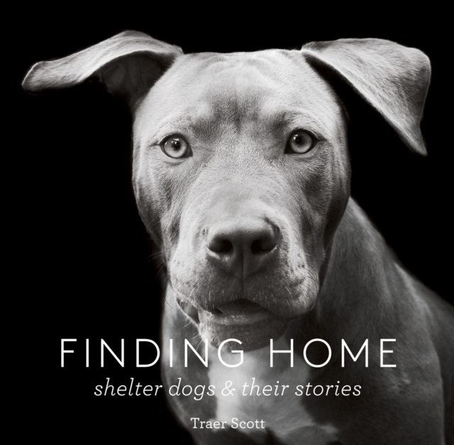 Finding Home : Shelter Dogs & Their Stories, EPUB eBook