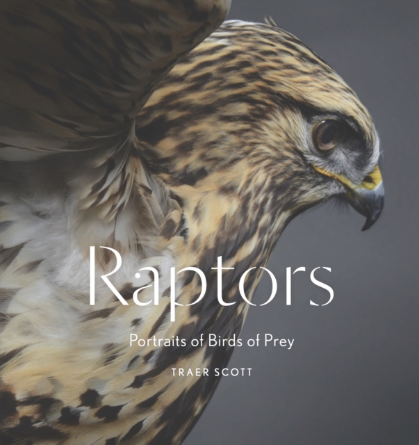 Raptors : Portraits of Birds of Prey, EPUB eBook