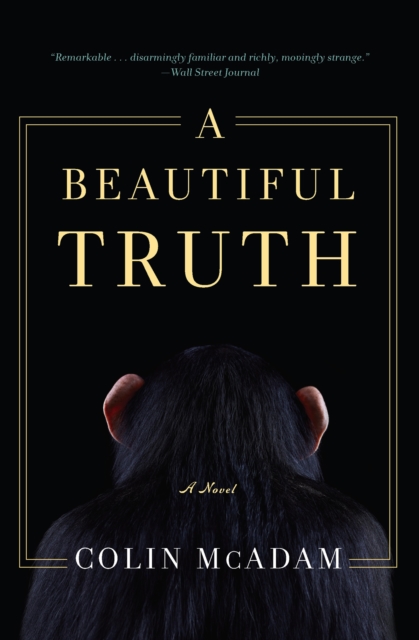 A Beautiful Truth : A Novel, EPUB eBook