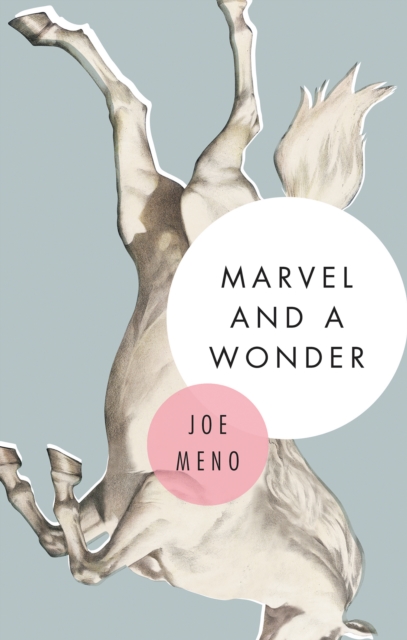 Marvel and a Wonder, EPUB eBook